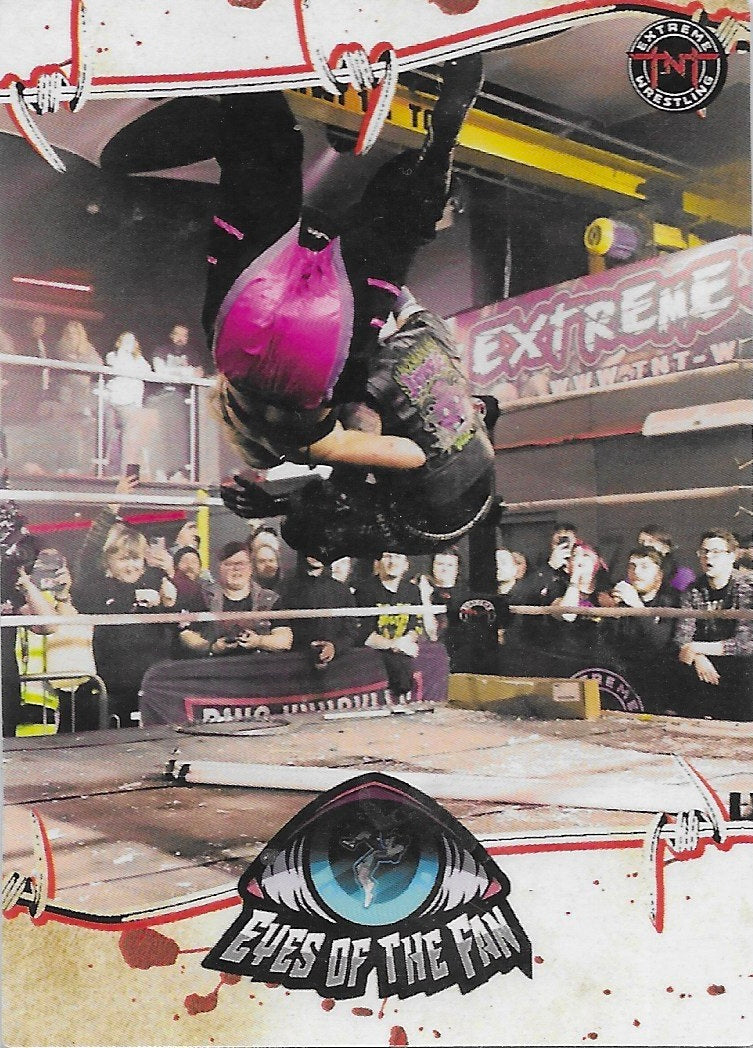 Eyes of the Fan trading card PW Catalog