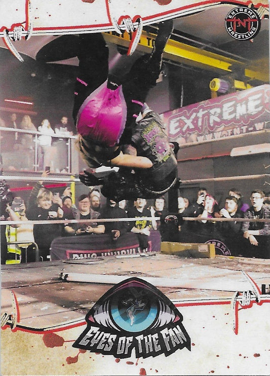 Eyes of the Fan trading card PW Catalog