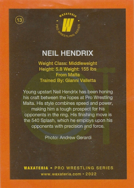 Neil Hendrix - image 2