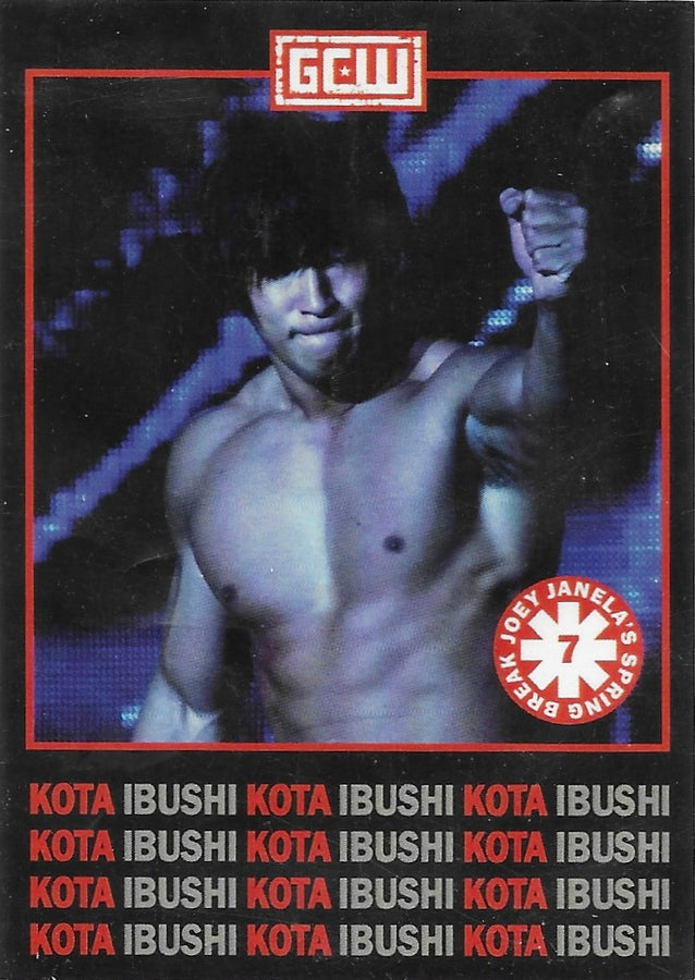 Kota Ibushi