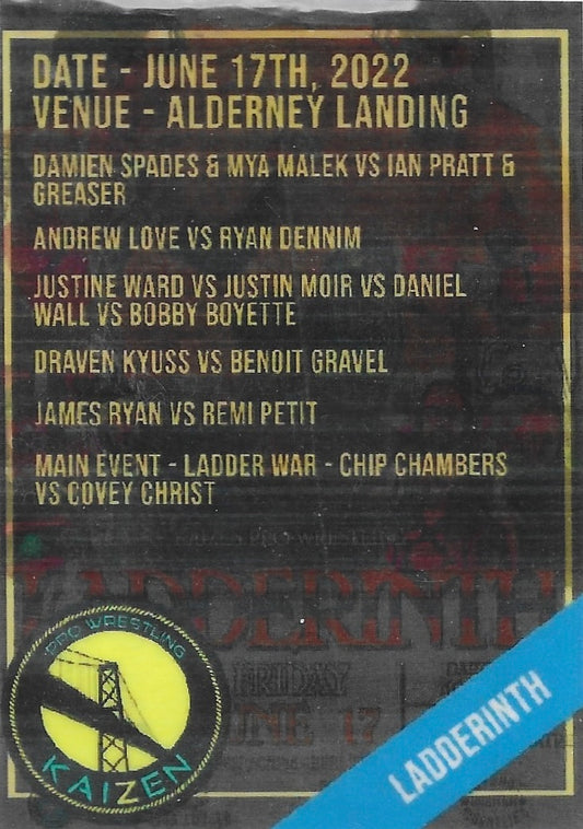 Ladderinth trading card PW Catalog
