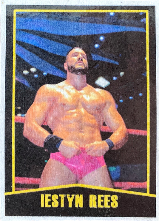 Iestyn Rees Trading Card PWcatalog