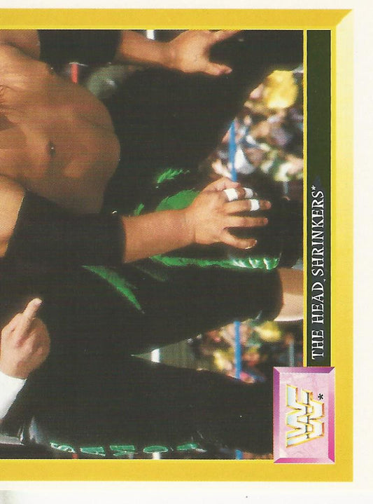 WWF Merlin Sticker 1994 Headshrinkers #260
