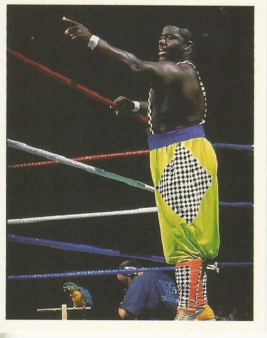 WWF Merlin Stickers 1992 Koko B Ware #261