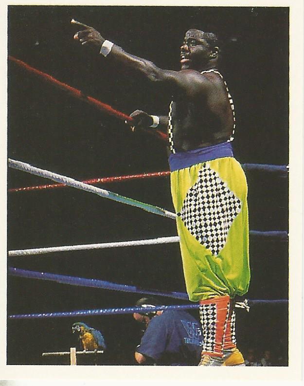 WWF Merlin Stickers 1992 Koko B Ware #261