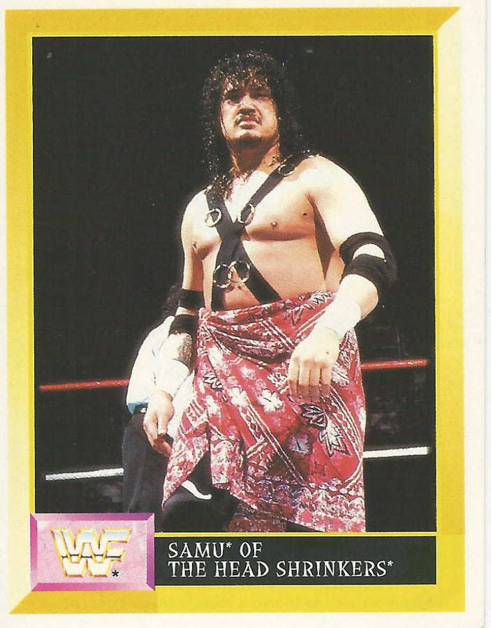 WWF Merlin Sticker 1994 Headshrinkers #261