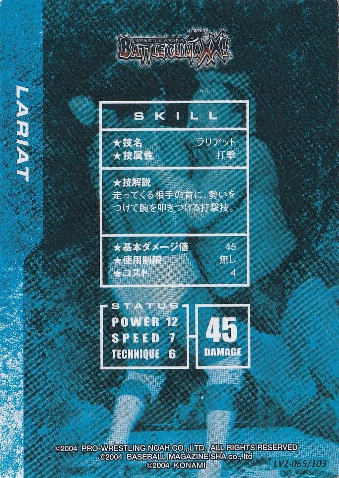 Lariat