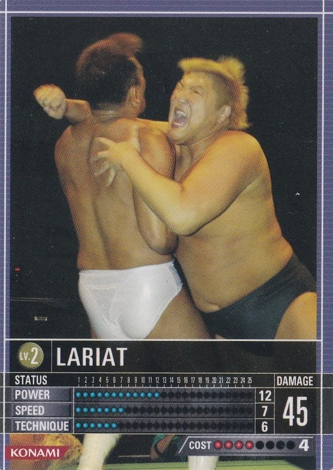 Lariat