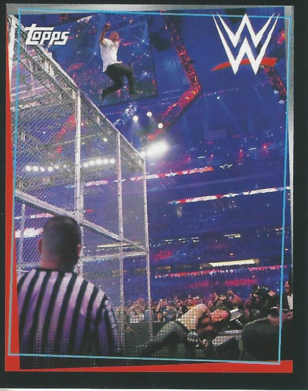 WWE Topps Road to Wrestlemania Stickers 2021 Shane McMahon #262