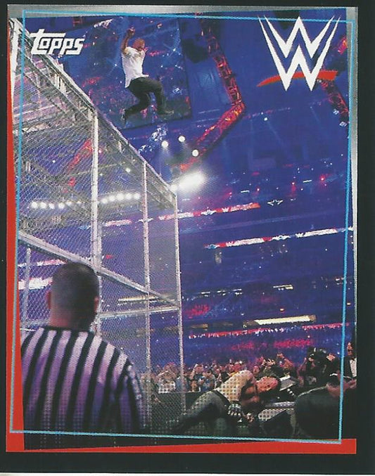 WWE Topps Road to Wrestlemania Stickers 2021 Shane McMahon #262