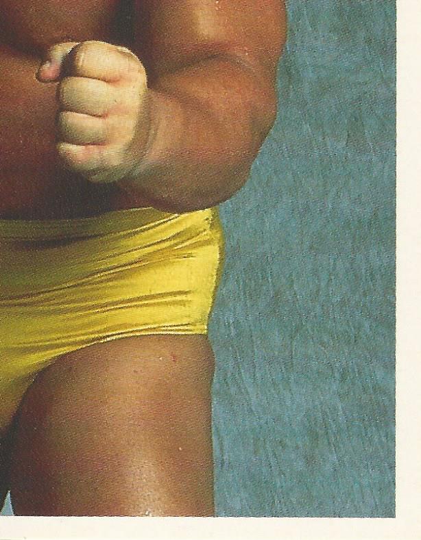 WWF Merlin Stickers 1991 Greg Valentine #262
