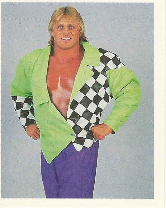 WWF Merlin Stickers 1992 Owen Hart #262