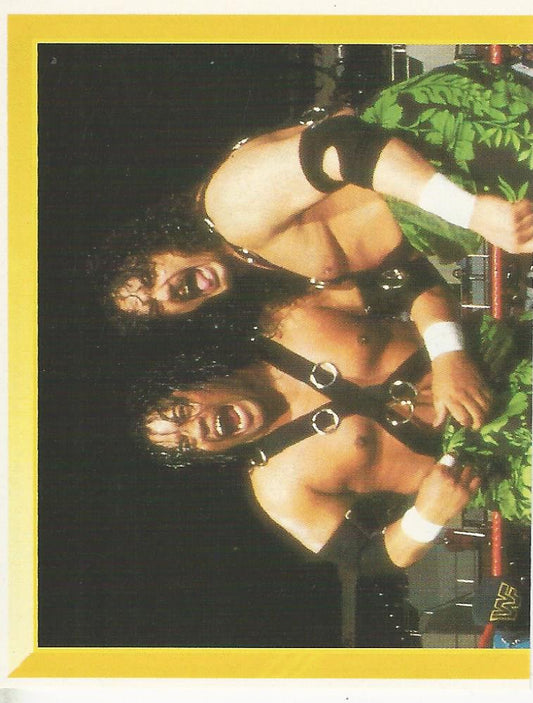 WWF Merlin Sticker 1994 Headshrinkers #263