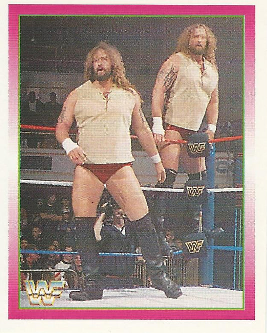WWF Merlin Stickers 1995 Jacob and Eli Blu #263