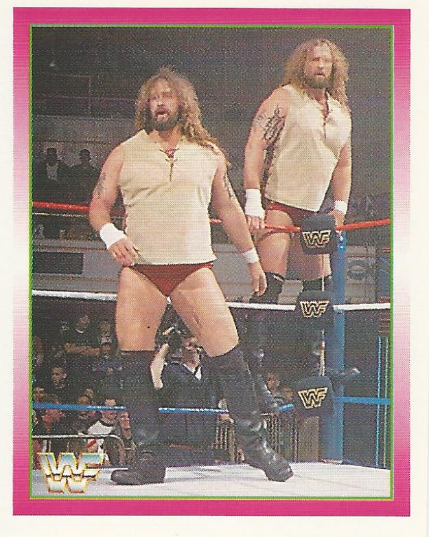 WWF Merlin Stickers 1995 Jacob and Eli Blu #263