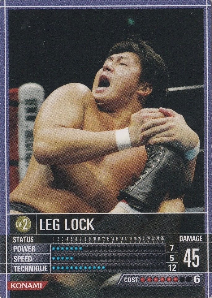 Leg Lock