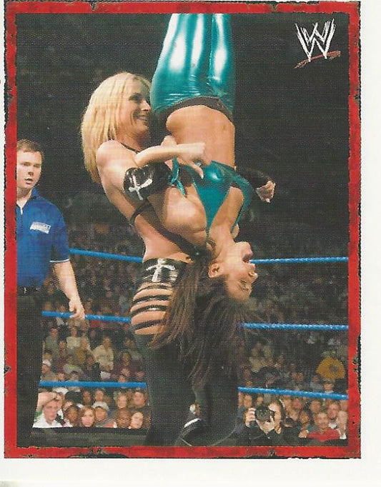 WWE Merlin Heros 2008 Stickers Michelle McCool #45