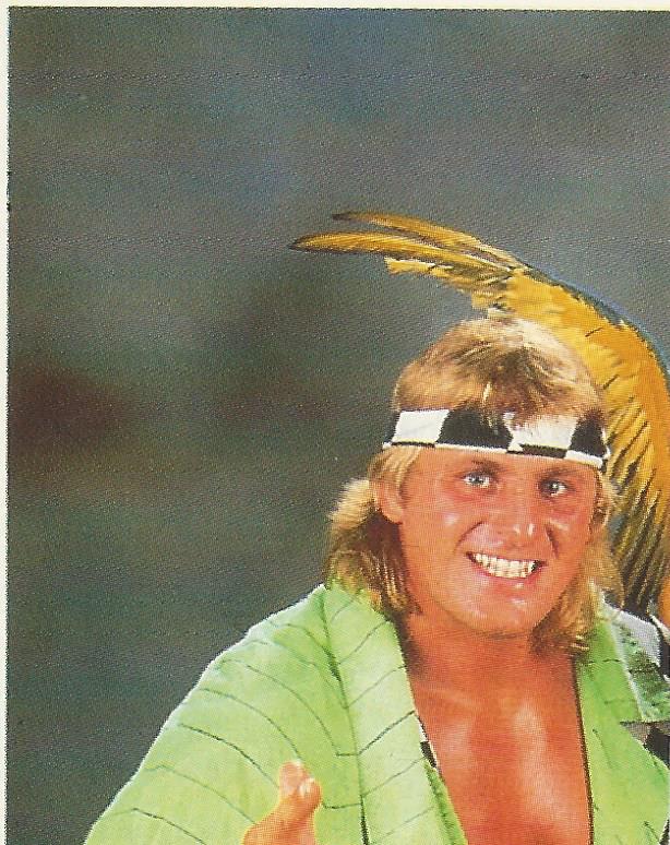 WWF Merlin Stickers 1992 High Energy Owen Hart #264