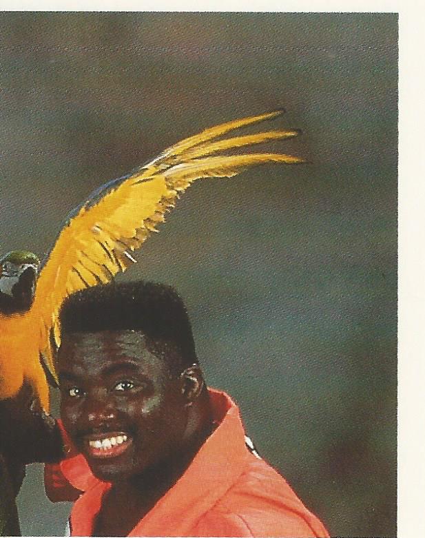 WWF Merlin Stickers 1992 Koko B Ware #265