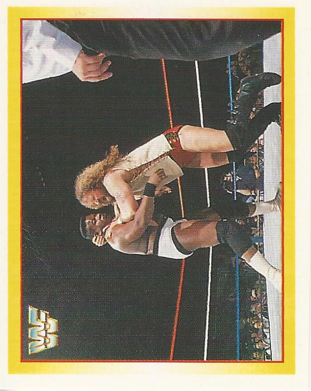 WWF Merlin Stickers 1995 Jacob and Eli Blu #265