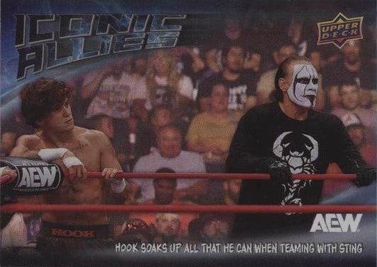 Iconic Allies – Hook Soaks UP All That HE Can When Teaming With Sting