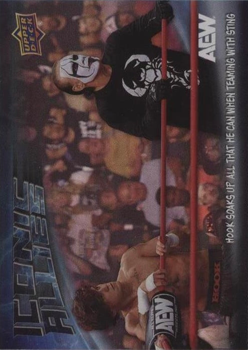 Iconic Allies – Hook Soaks UP All That HE Can When Teaming With Sting