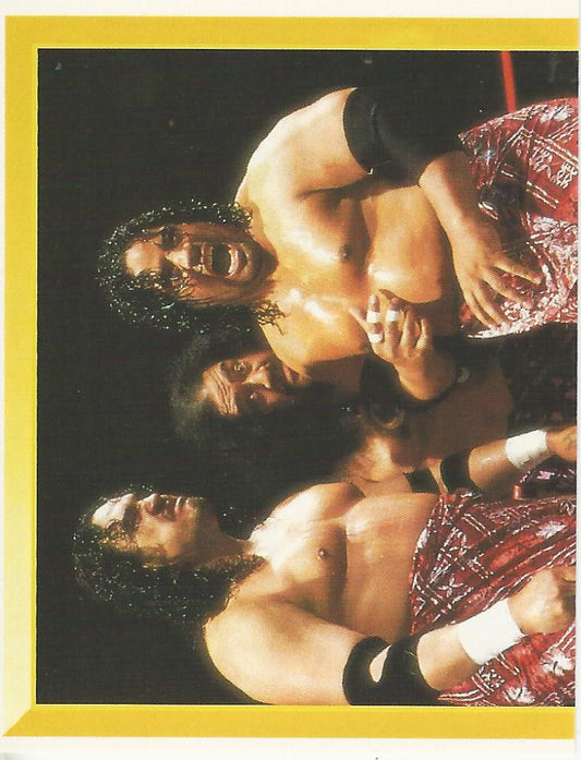 WWF Merlin Sticker 1994 Headshrinkers #266