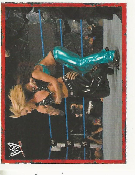 WWE Merlin Heros 2008 Stickers Michelle McCool #47