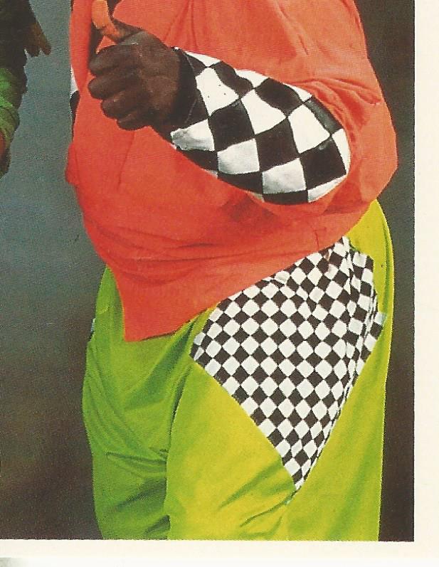 WWF Merlin Stickers 1992 Koko B Ware #267