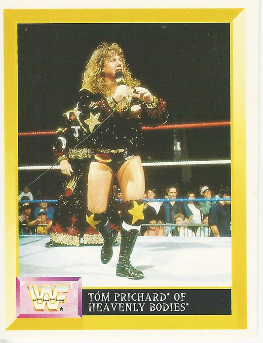WWF Merlin Sticker 1994 Heavenly Bodies #268