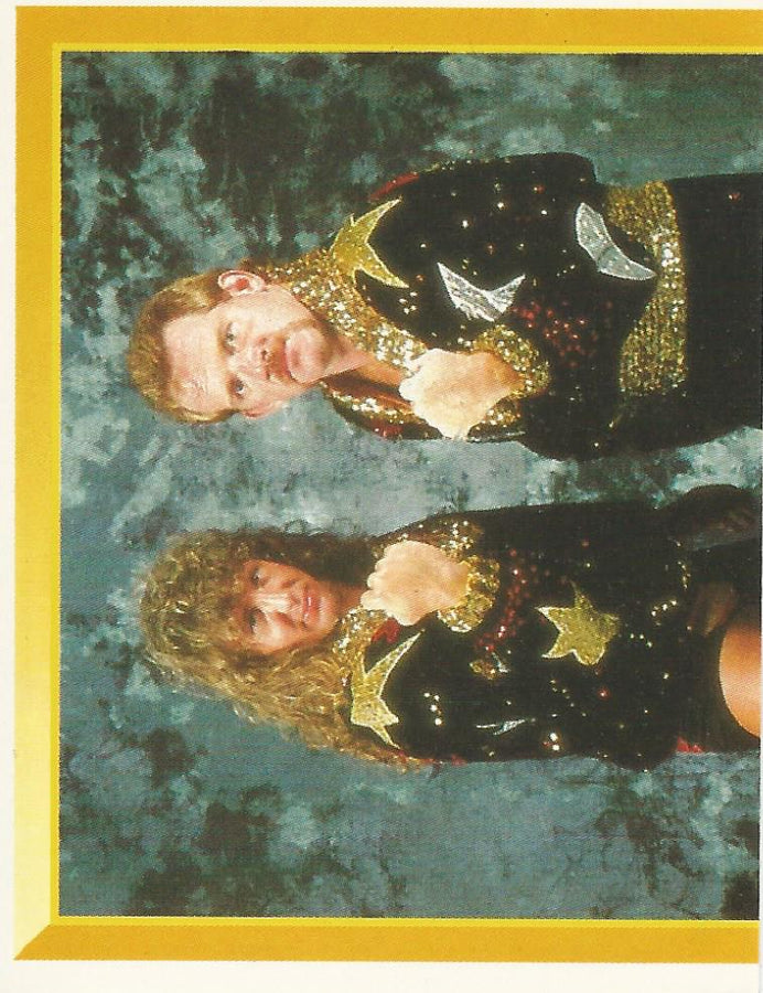 WWF Merlin Sticker 1994 Heavenly Bodies #269
