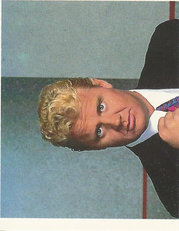 WWF Merlin Stickers 1992 Mr Perfect #269