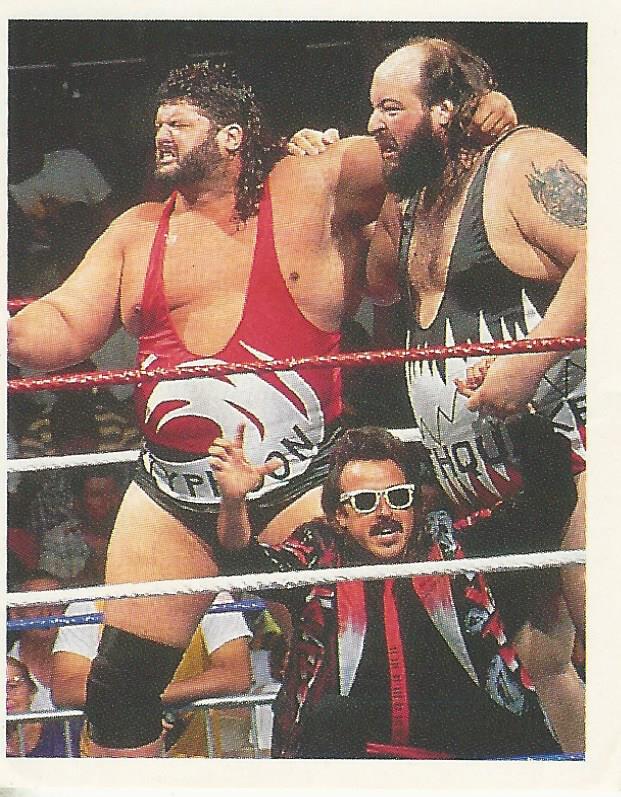 WWF Merlin Stickers 1991 Natural Disasters #26