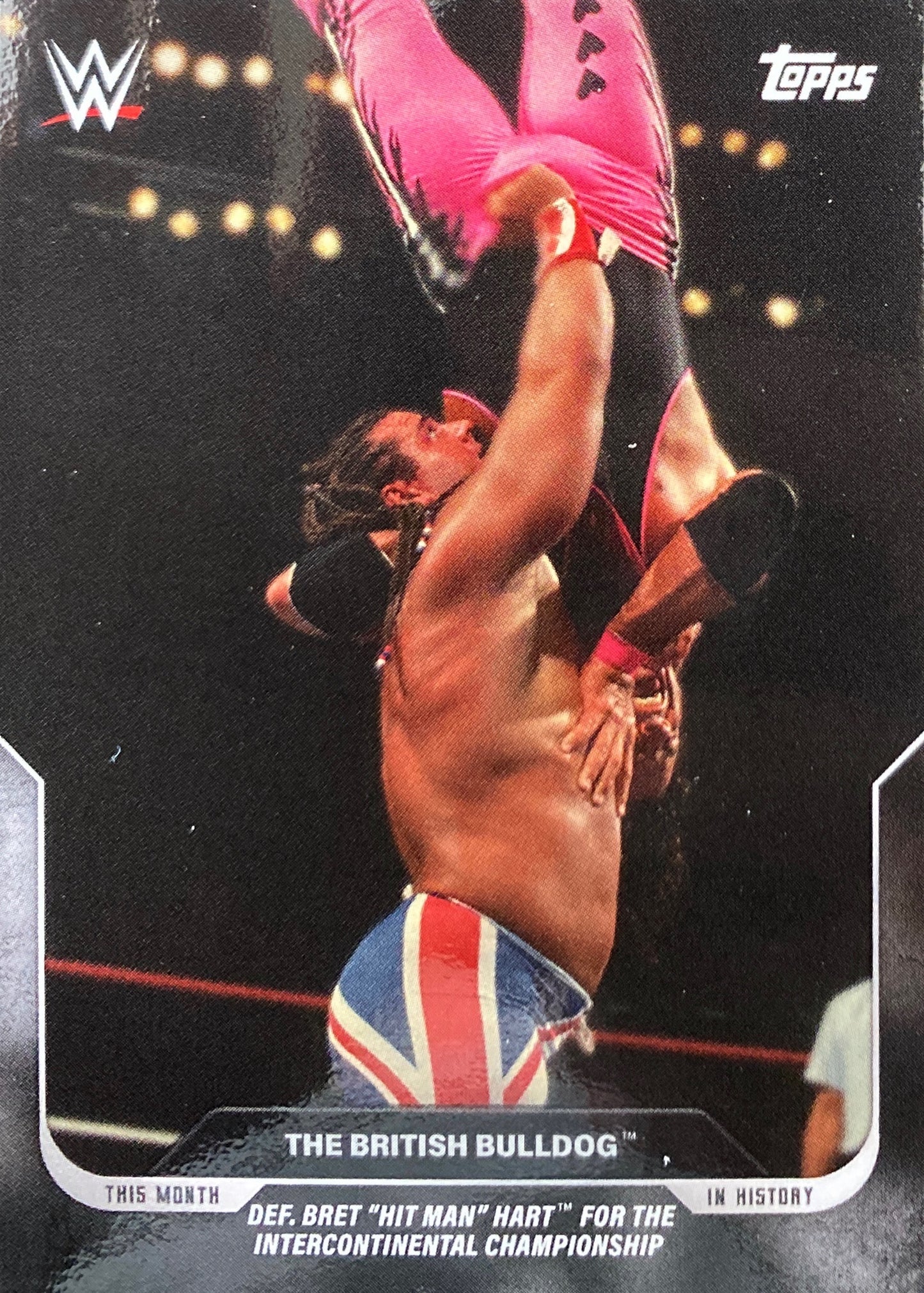 Summerslam ’92 – August 29, 1992 the Britsh Bulldog DEF. Bret “Hit Man” Hart for the Intercontinental Championship