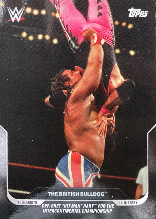 Summerslam ’92 – August 29, 1992 the Britsh Bulldog DEF. Bret “Hit Man” Hart for the Intercontinental Championship trading card PWcatalog
