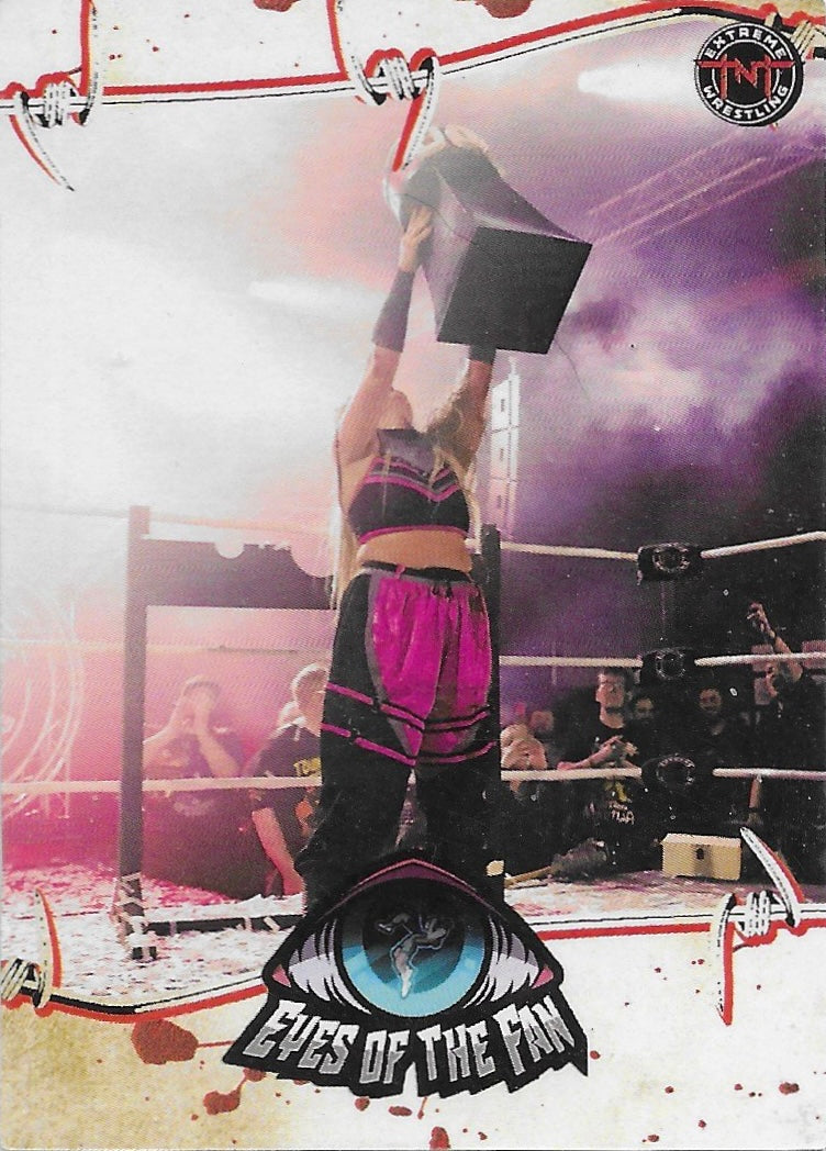 Eyes of the Fan trading card PW Catalog