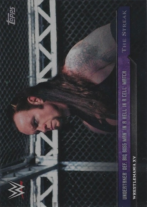 Wrestlemania XV – Undertaker DEF. Big Boss Man in a Hell in a Cell Match
