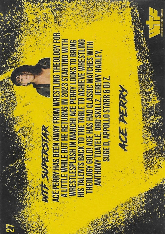 ACE Perry - image 2