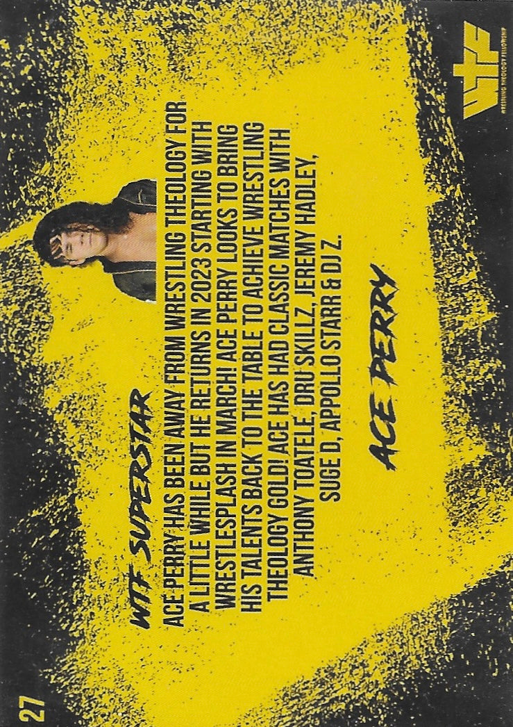 ACE Perry - image 2