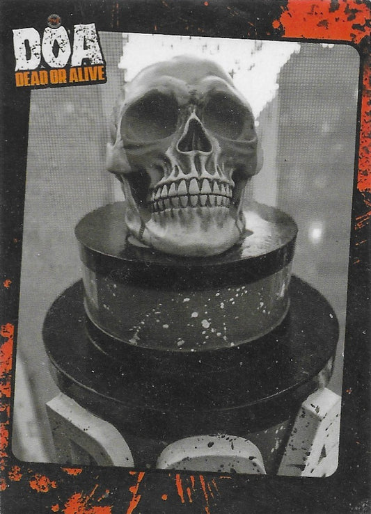 Skeleton trading card PW Catalog