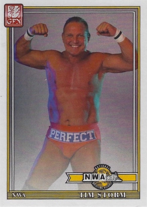 TIM Storm