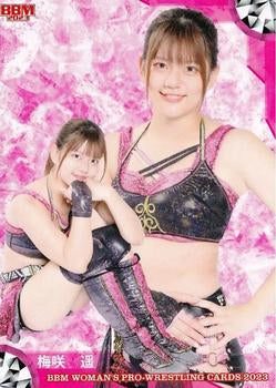 Haruka Umesaki