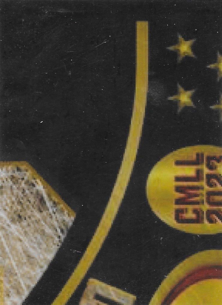 Volador JR. trading card PW Catalog