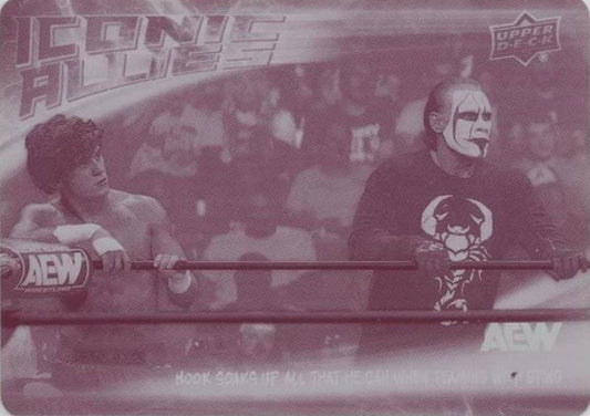 Iconic Allies – Hook Soaks UP All That HE Can When Teaming With Sting
