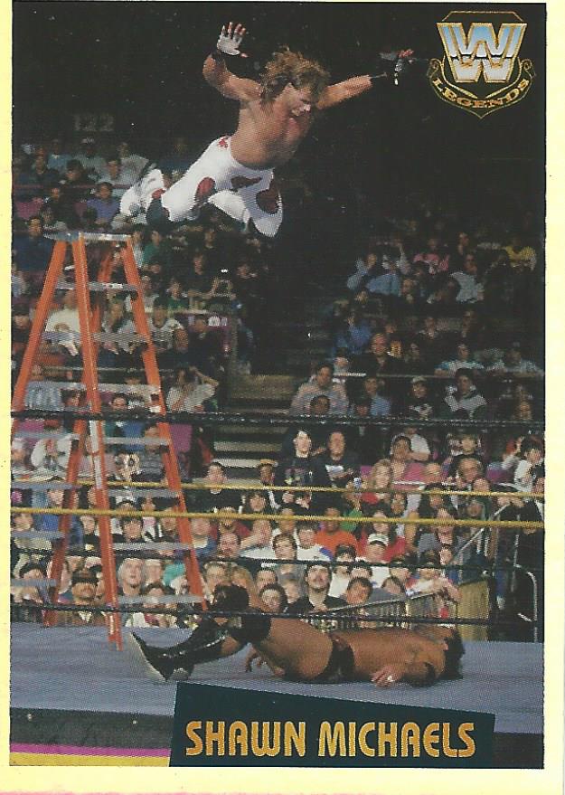 WWE Panini 2022 Sticker Collection Shawn Michaels Foil #377