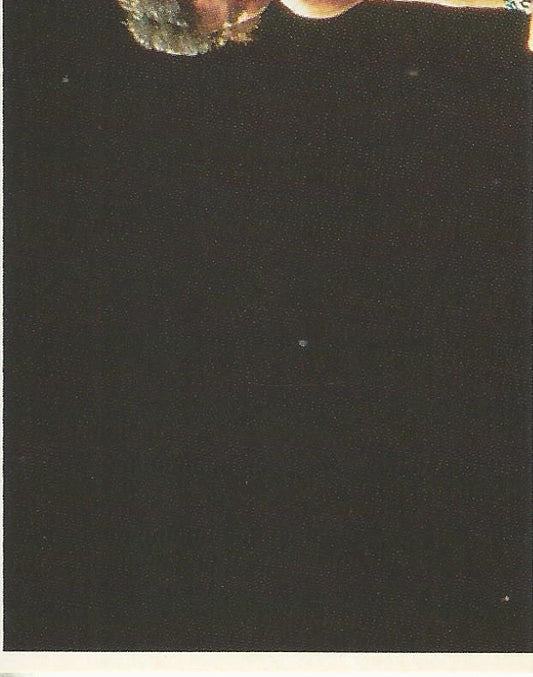 WWF Merlin Stickers 1991 Marty Jannetty #270