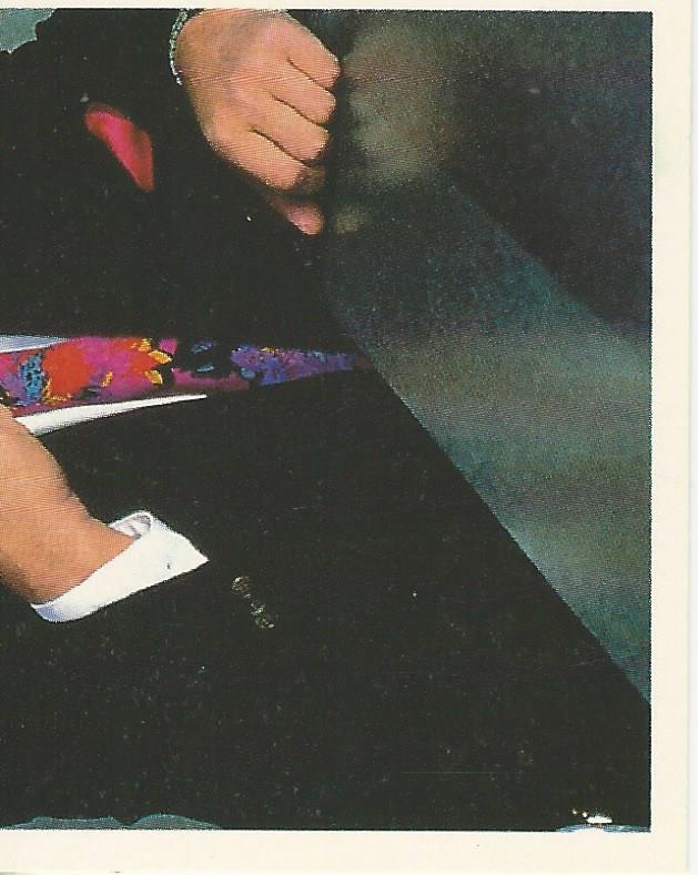 WWF Merlin Stickers 1992 Mr Perfect #270