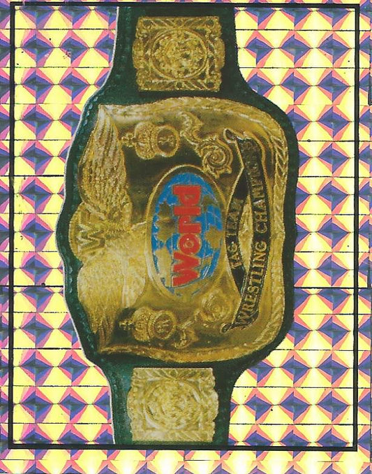 WWF Merlin Sticker 1994 #300