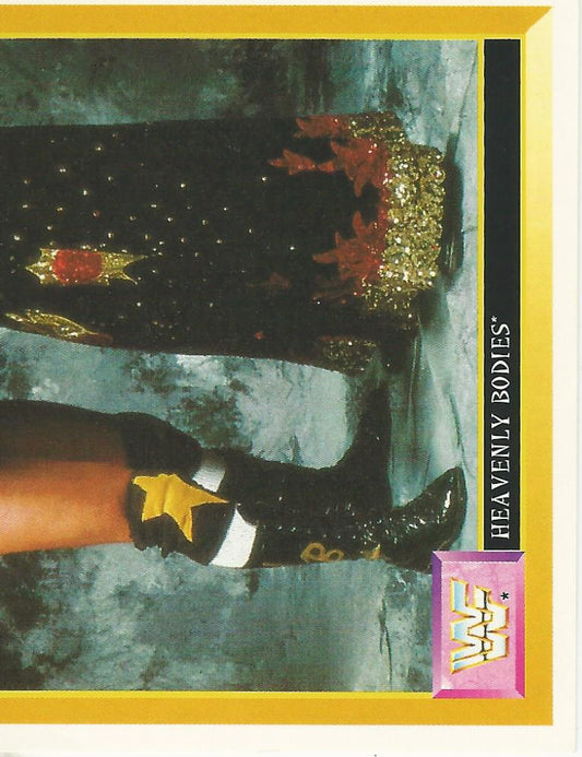 WWF Merlin Sticker 1994 Heavenly Bodies #270