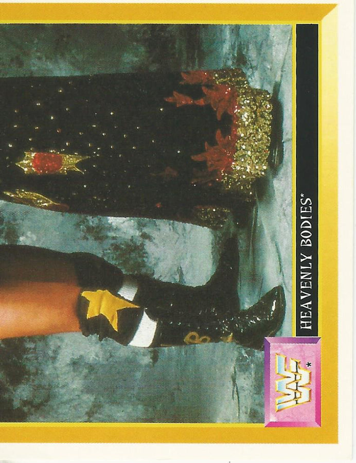 WWF Merlin Sticker 1994 Heavenly Bodies #270